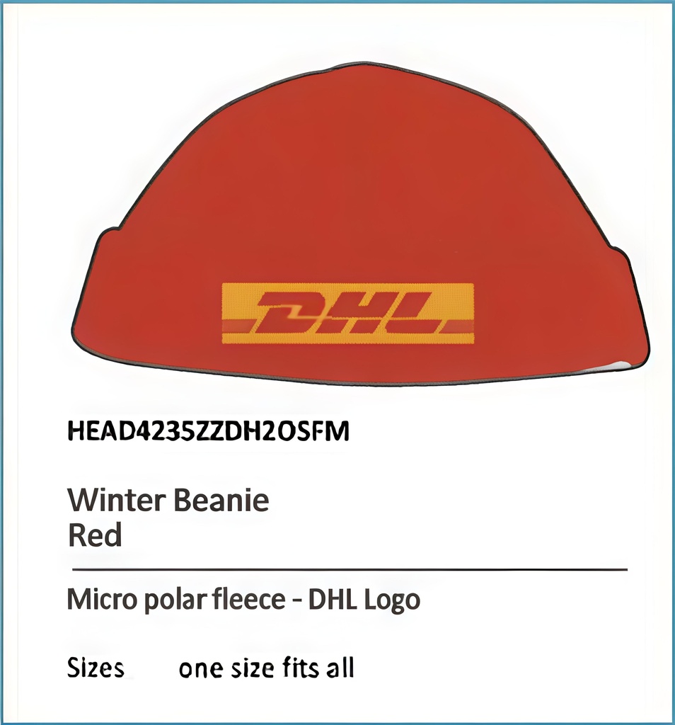 DHL.DSC WINTER BEANIE